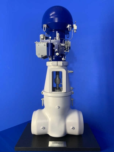 Flowserve Model: Edward Equiwedge Gate Valve